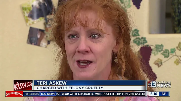 Dog rescuer loses bid to keep dogs, must stand tri...