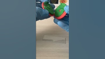 Lady Gaga Oreos Under Microscope #microscopy #science #microscope