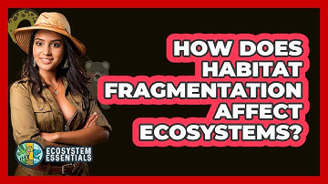 How Does Habitat Fragmentation Affect Ecosystems?