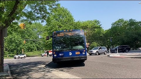 MTA Bus : 2019 NovaBus LFS Bx28 (#8617)