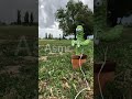 Asmr