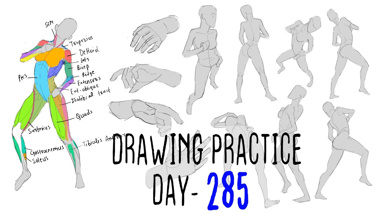 Daily Drawing Practice Part 285 - YouTube