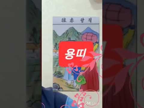 용띠 오늘의운세 2024년10월25일 금요일 띠별운세 <strong>총운</strong> #운세 #오늘의운세