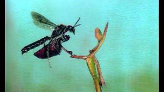 Ralph Vaughan Williams: The Wasps (1909)