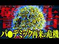 迫るパ〇デミック再来。突如変異した危険ウ〇ルスとは？【 都市伝説 】