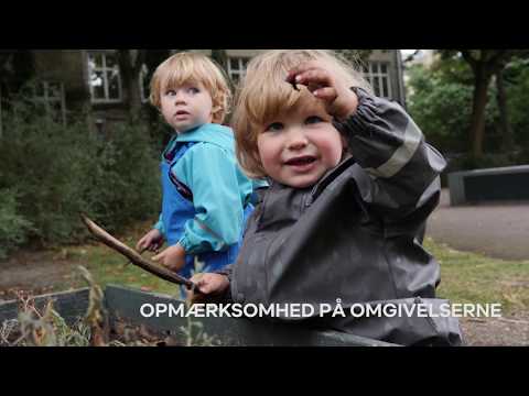 Video: Udvikling Af Koncentration Af Opmærksomhed