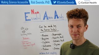 The Non-Essential Amino Acids