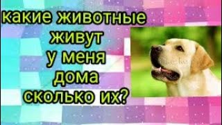 Сколько и каких у меня животных! Сколько и каких у меня животных!