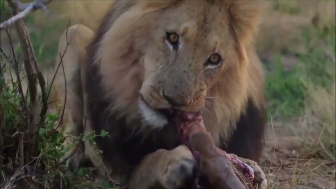 Keeper of Flame by KOLOSSOR