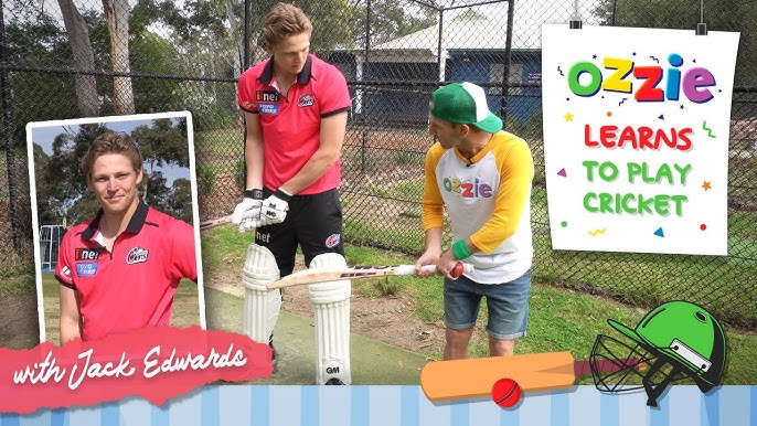 Cricket batting basics, 5 basics of cricket batting for beginners