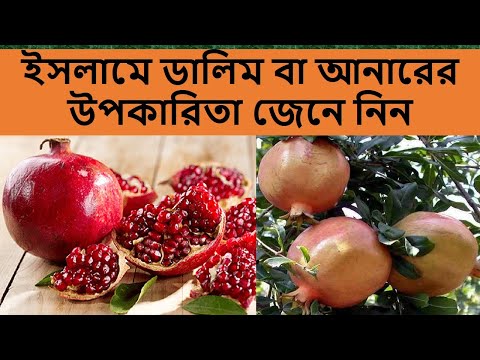 ভিডিও: সাধারণ ডালিম