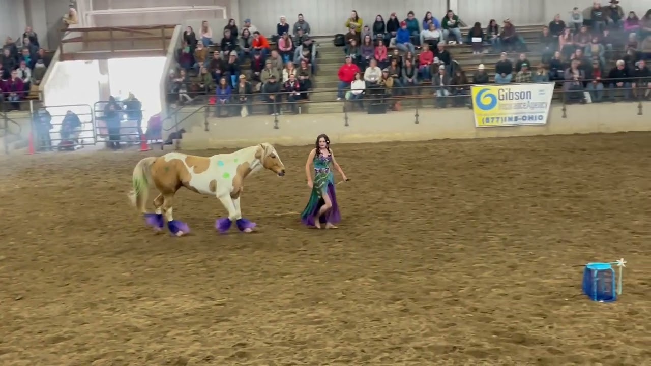 Invitational Liberty Freestyle Equine Affaire Ohio 2022- Amber Buresh