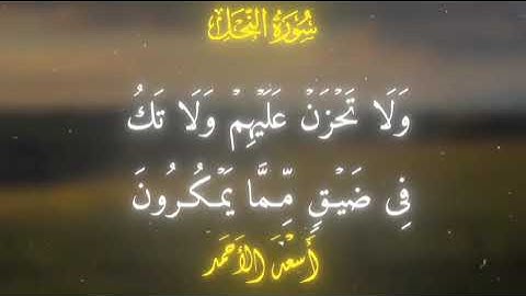 سورة النحل الآية 127 للشيخ القارئ أسعد الأحمد 💝🌺🍃