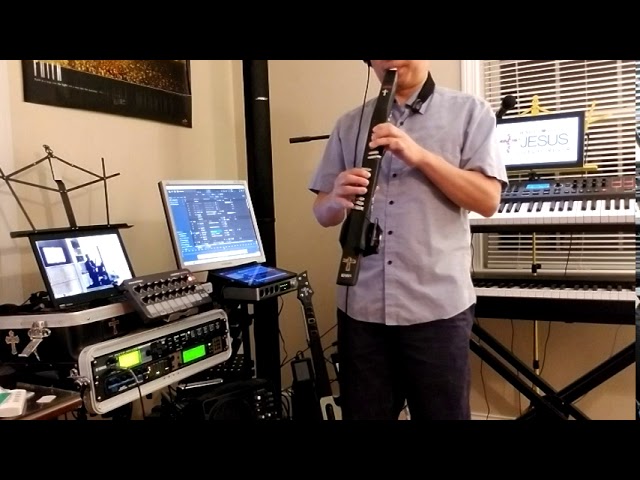 Re-visitation to SWAM Saxes