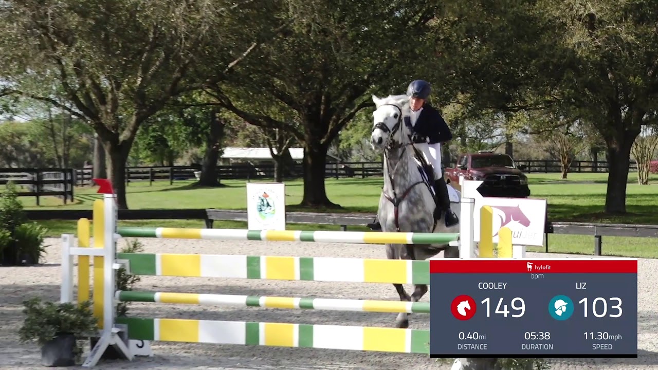 Liz Haliday Sharp on Cooley Quicksilver Hylofit used live during round at the 2019 Ocala Horse Prope
