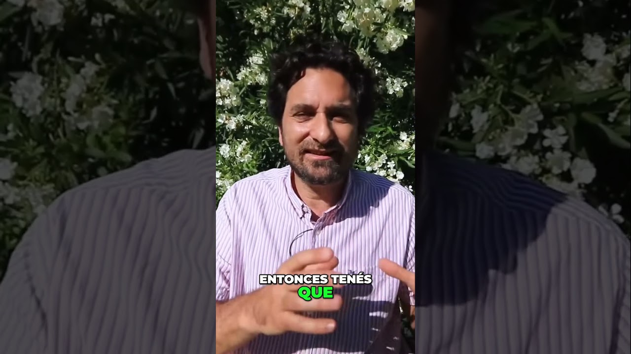 Cultiva tomates  ¡La guía completa!