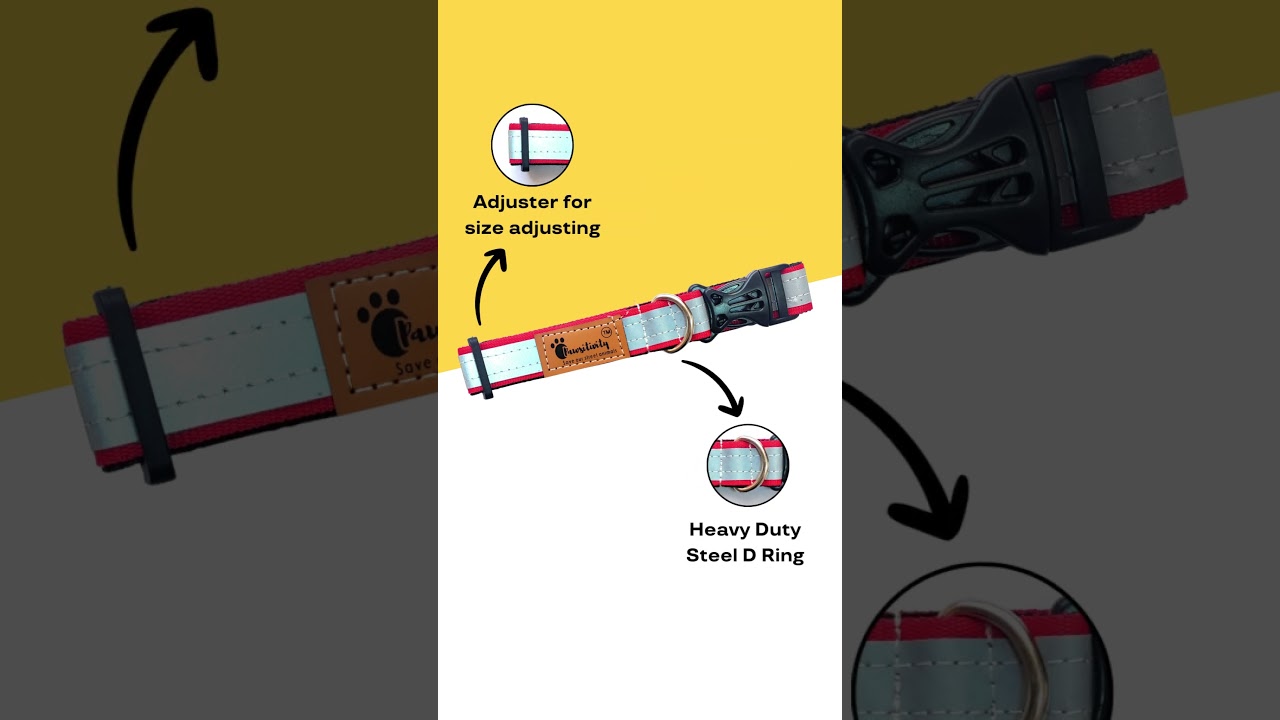 Street Savers: Pawsitivity's Reflective Collars for Animal Safety!