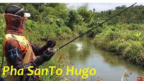 Câu Cá Lóc Tự Nhiên | Khai Cần Mới, Pha Lên Hàng HuGo Santo Cực Phê