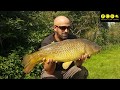 Marks carping diary session on abbey