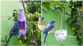 cómo hacer un semillero y bebedero para aves  reciclando botellas de plástico ‍♀