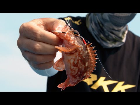 BKK - Micro Jigging series - Fishing Action