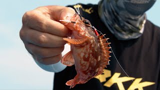 BKK - Micro Jigging series - Fishing Action