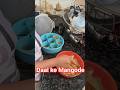 Daal ke Mangode #shortsbeta #shorts #cooking