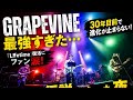 🔥GRAPEVINEが最強すぎた...『Lifetime』復活にファン涙!🎤