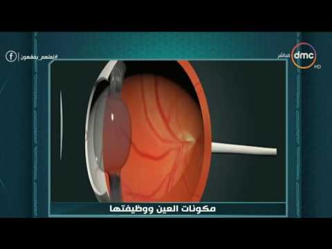 لعلهم يفقهون كل اللي محتاج تعرفه عن مكونات العين ووظائفها