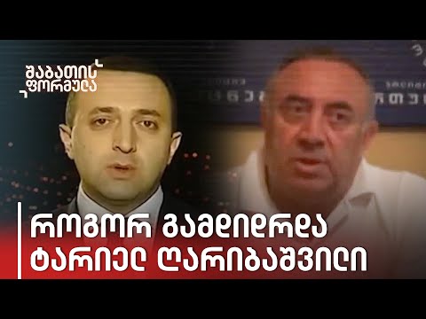 როგორ გამდიდრდა ირაკლი ღარიბაშვილის მამა, ტარიელ ღარიბაშვილი