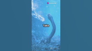 "How Deep Can We Go? 🌊🗺️ Test Your Knowledge of Earth