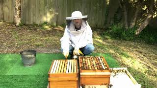 Swarm Prevention with OSBN