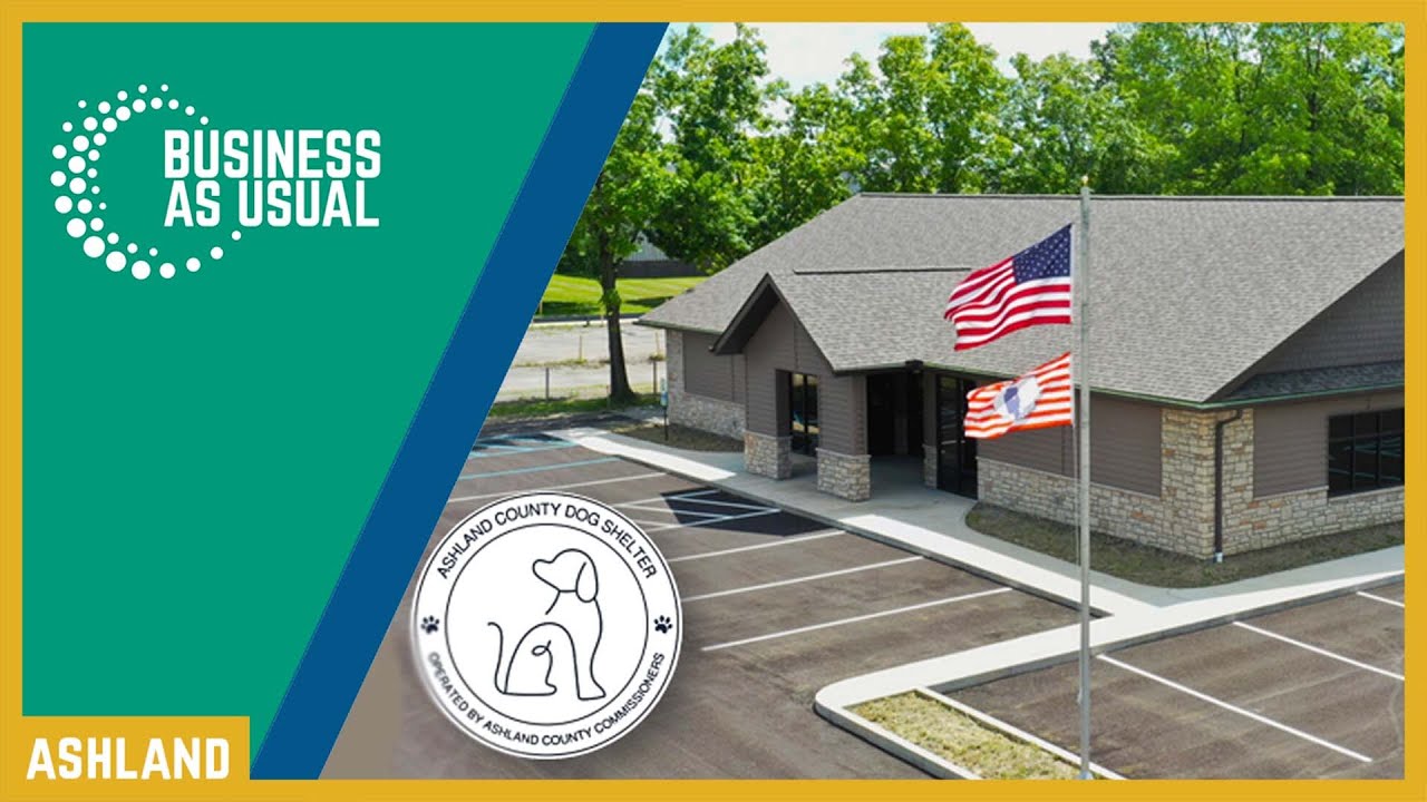 Business As Usual: Ashland County Dog Shelter Summer Update