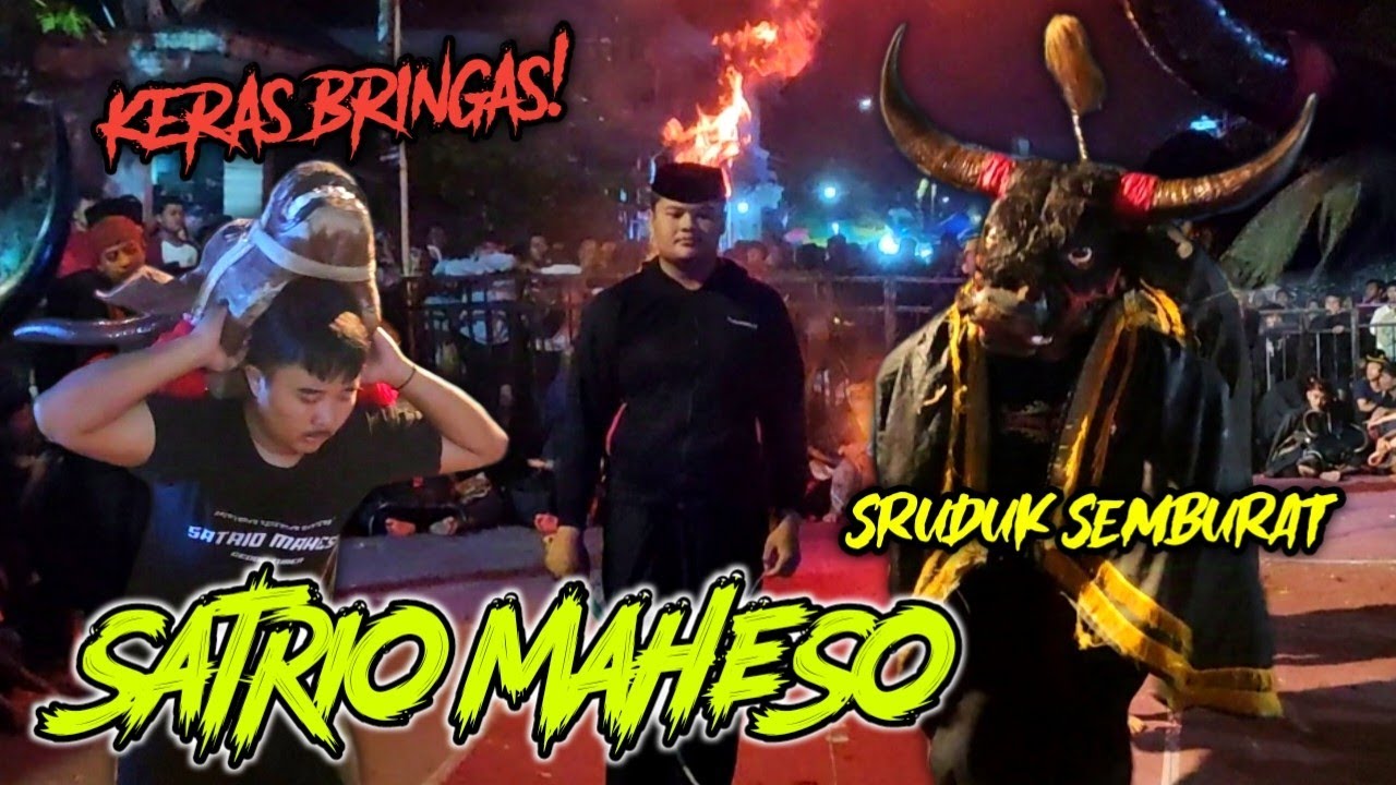 SRUDUK SEMBURAT! Bantengan SATRIO MAHESO Kacaukan Pasukan Ontran ontran di Gedog Wetan Turen