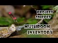 IPBio project snippet: Mushroom Inventory