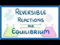 The Dynamics of Reversible Reactions and Equilibrium in Chemistry