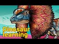 Dinosaur Dilophosaurus Collection | What is this dinosaur? | carnivorous dinosaur Dilophosaurus |공룡
