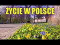 Życie w Polsce | Życzliwość, komfort, spokój, szachy na Wawelu, taniec łabędzi, śpiew ptaków