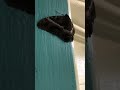 Finding geckos pt5
