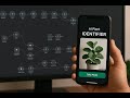 Cloning a 3M monthly visitors AI App with n8n + lovable.dev (Free Template )