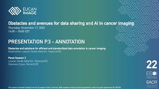 Obstacles and solutions for efficient and standardized data annotation in cancer imaging