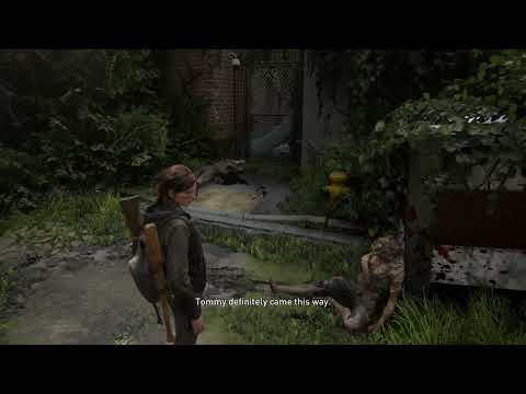 Ellie stop, tripwire