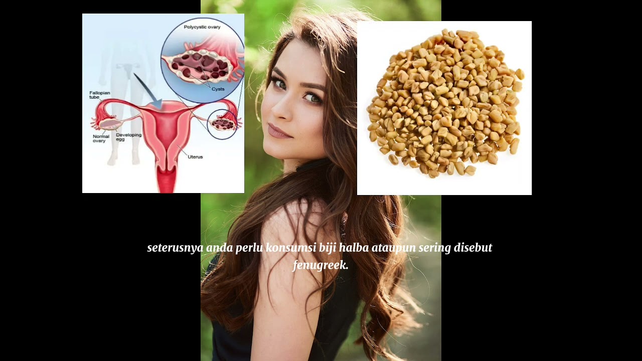 PENGHIDAP PCOS HARUS TAHU 3 BAHAN INI .. KECUTKAN CYST DENGAN MUDAH!! KONSUMSI SETIAP HARI !! 