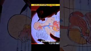 😎మనకి ఎంతగానో పనికొచ్చే LIFE HACKS👍-7 #usefullifehacks #lifehacks #tricks #facts #usefultips