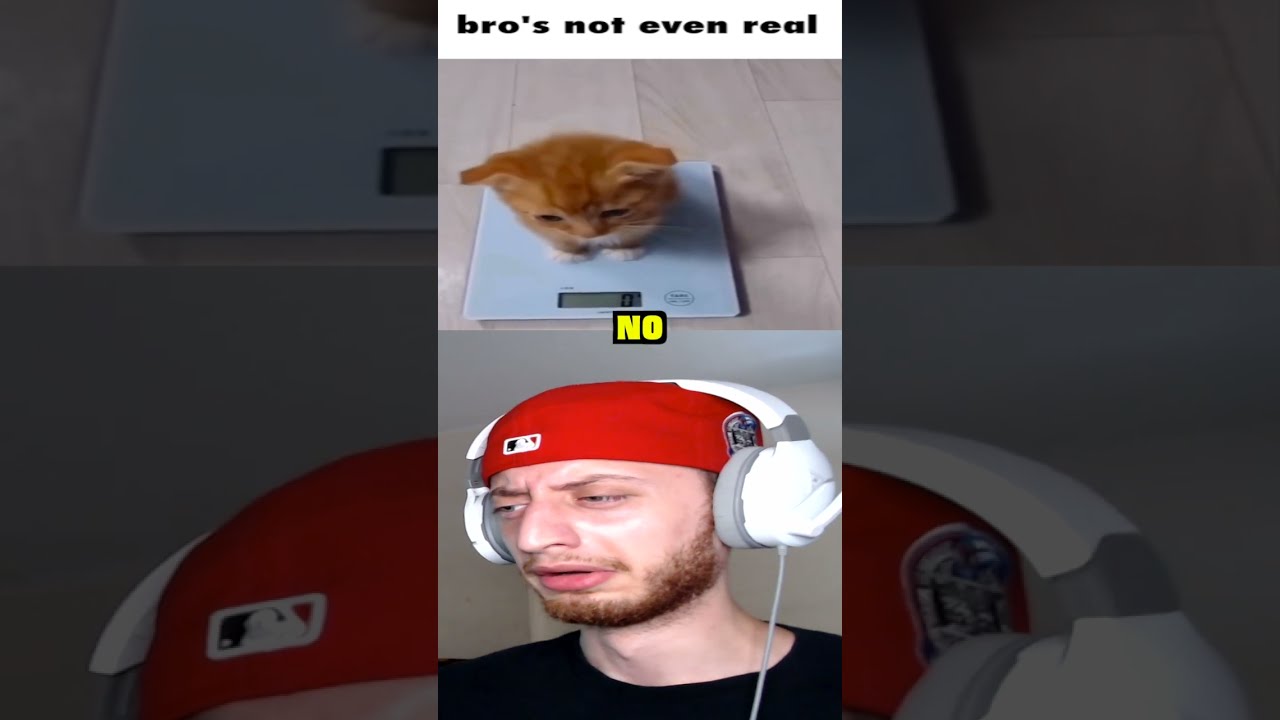 Bro S Not Even Real Shorts Short Memes Meme