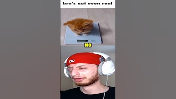 Bro