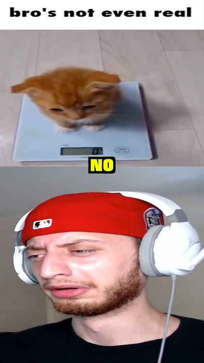 Download lagu Bro's Not Even Real #shorts #short #memes #meme