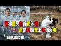 刘德华 Mp3 Mp4 Free download
