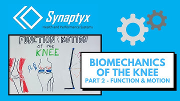 Biomechanics of the KNEE - Pt 2 FUNCTION & MOTION