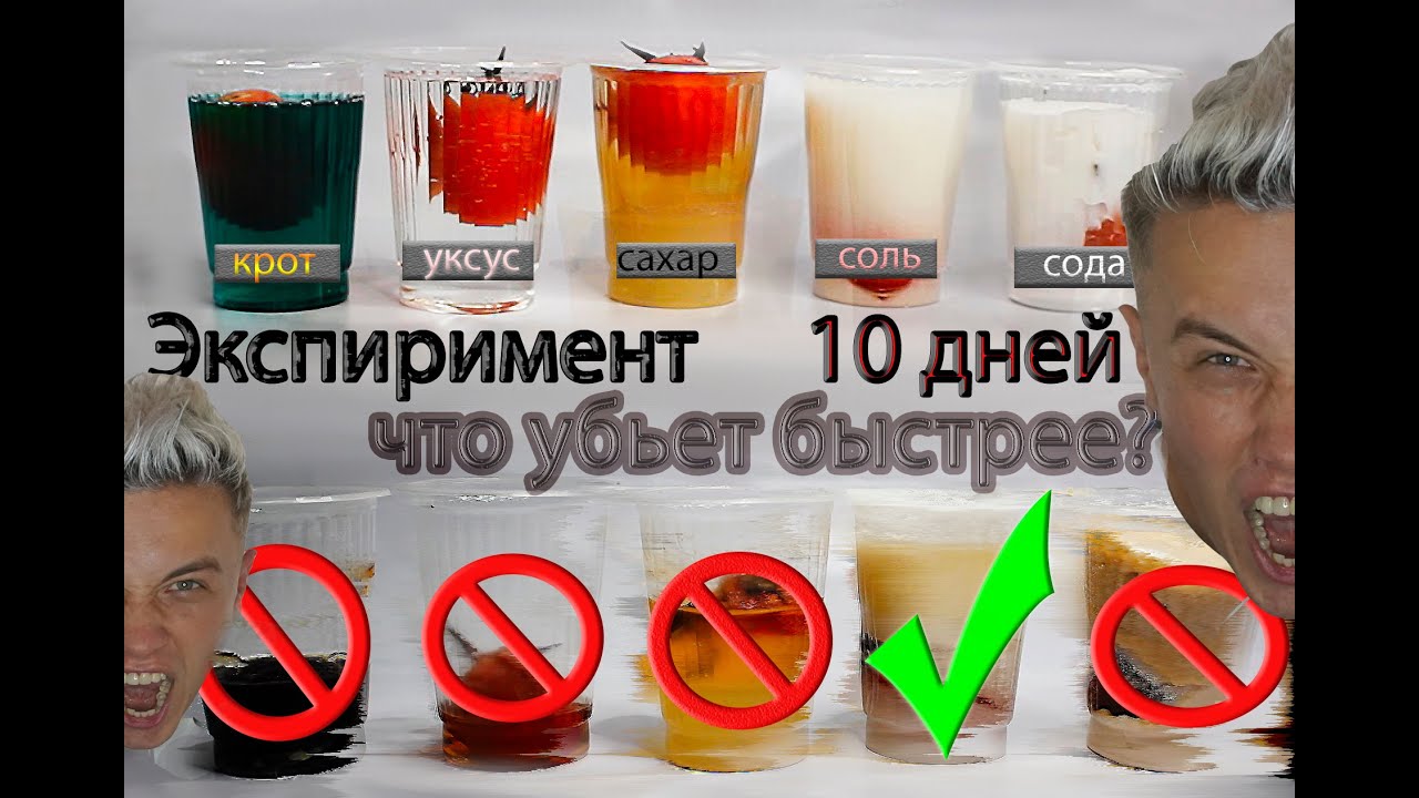 Каско на 10 дней
